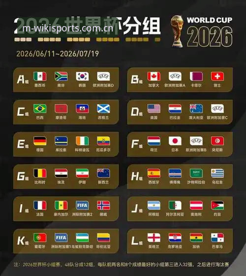 2026世界杯观赛冷场深度评测：签证危机与地缘政治下的球迷困境